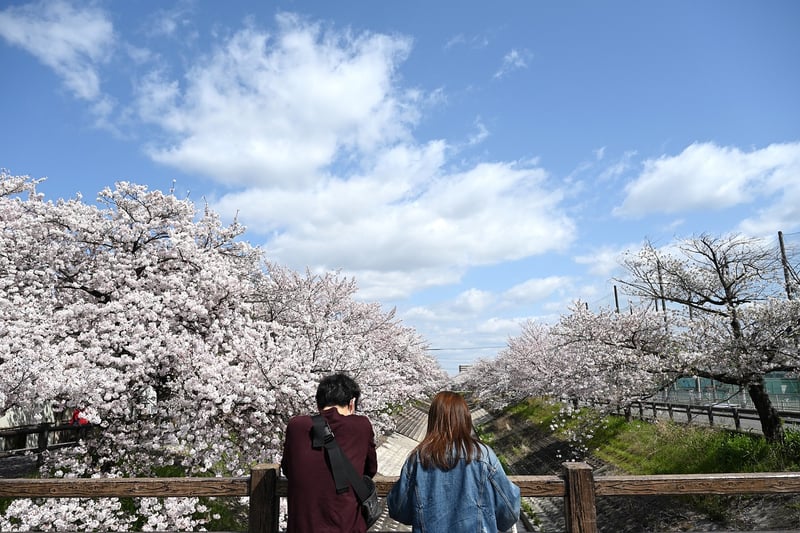 Nature Lovers